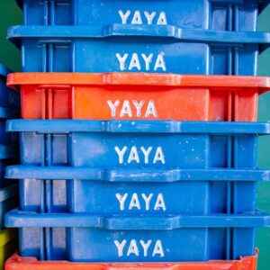 YAYA